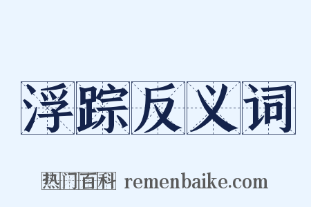 浮踪反义词是什么意思的图片